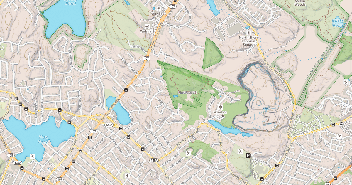 Map preview of Pink Face