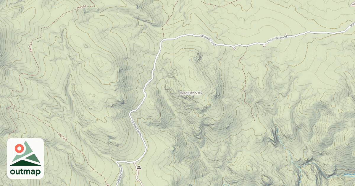 Map of Dead Fish