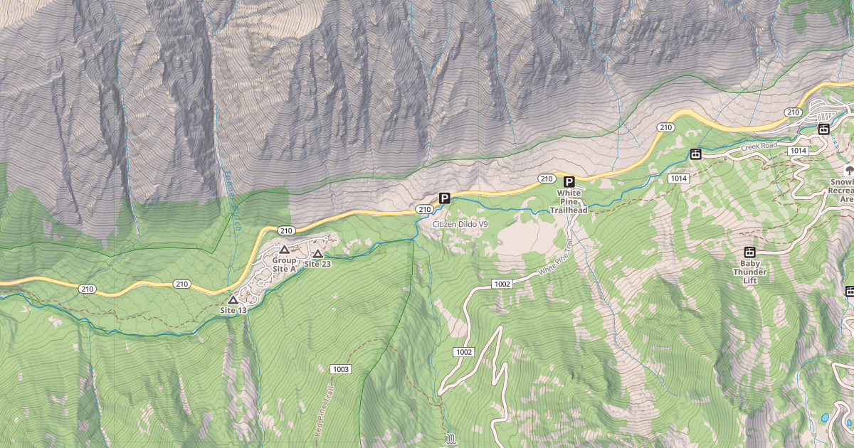 Map preview of Citizen Dildo