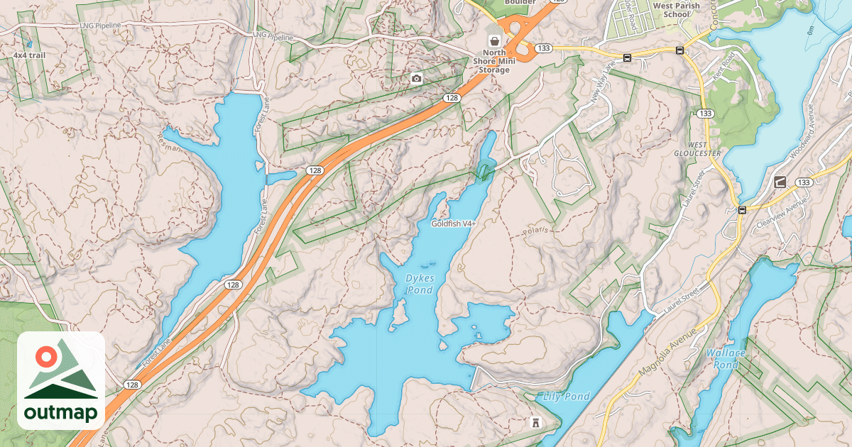 Map of Goldfish