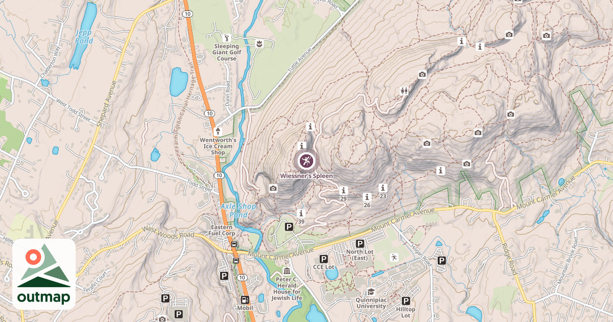 Map of Wiessner's Spleen