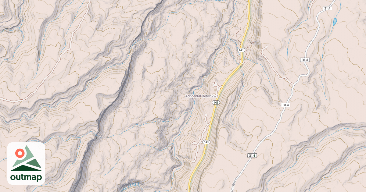 Map of Accidental Detox