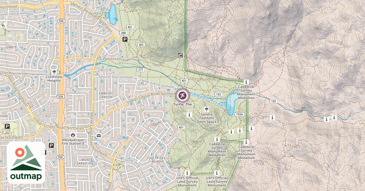 Map of Turtle, The