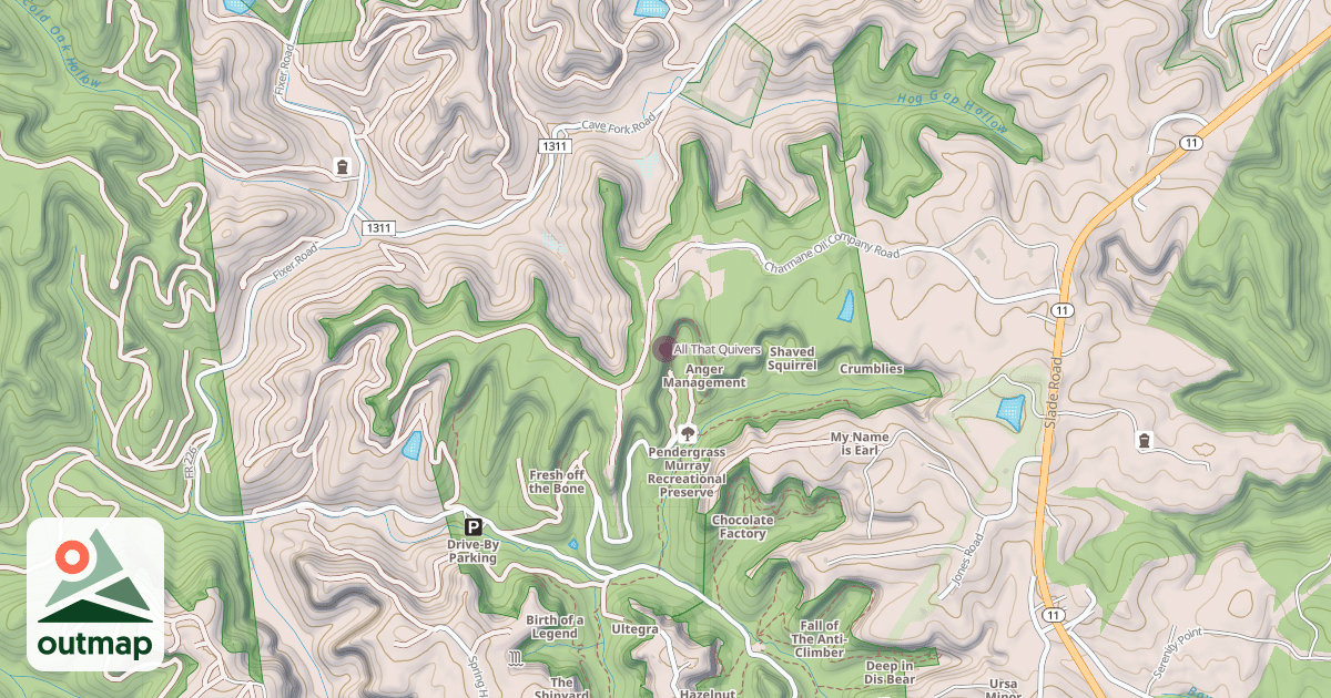Map of All That Quivers