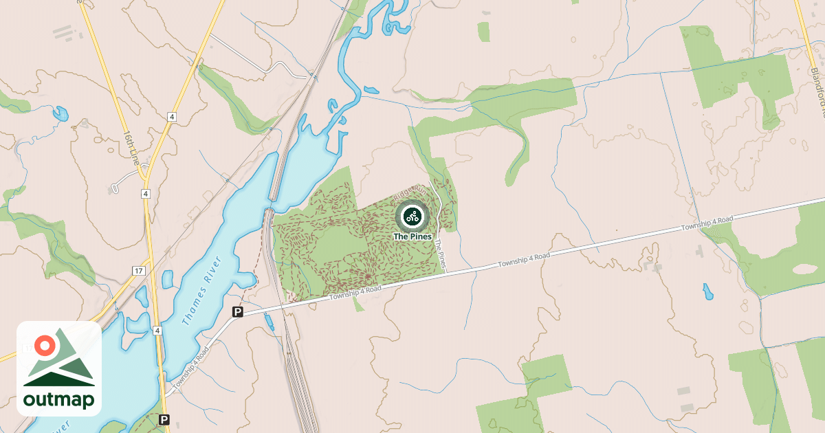 Map of The Pines