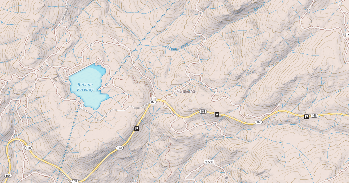 Map preview of ManBirds
