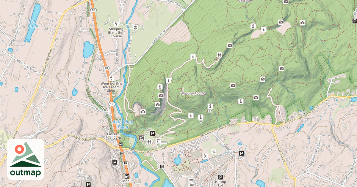 Map of Whooley Roof