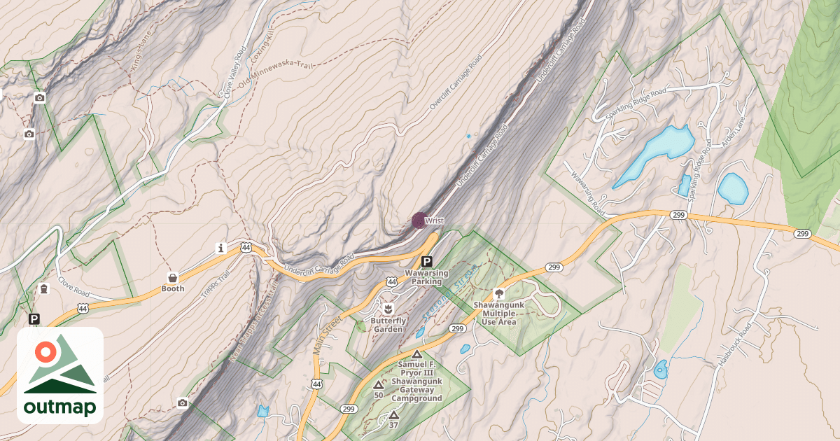 Map of Wrist