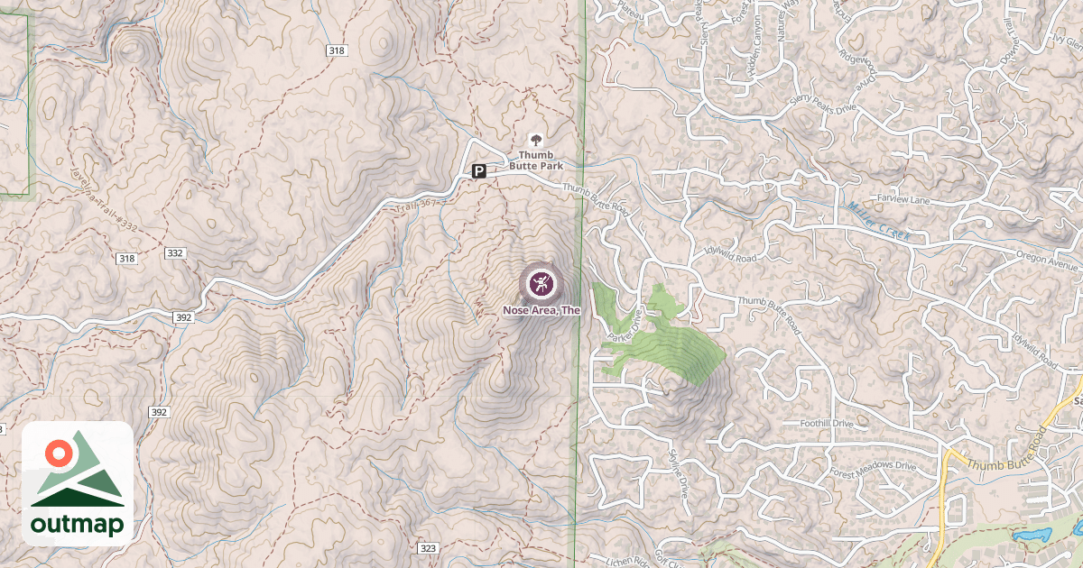 Map of Nose Area, The